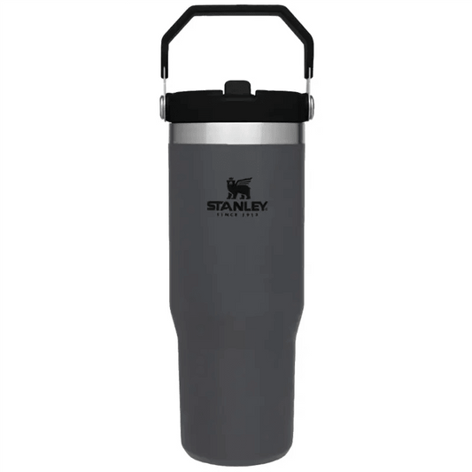 Stanley IceFlow Flip Straw