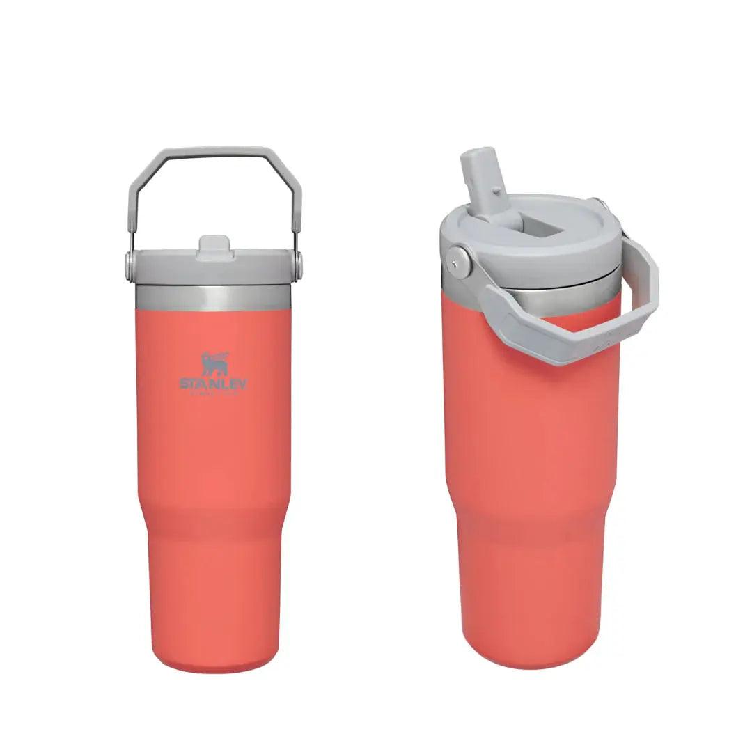 Stanley IceFlow Flip Straw
