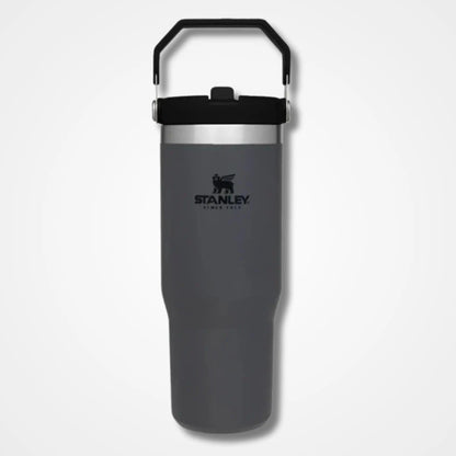Stanley IceFlow Flip Straw