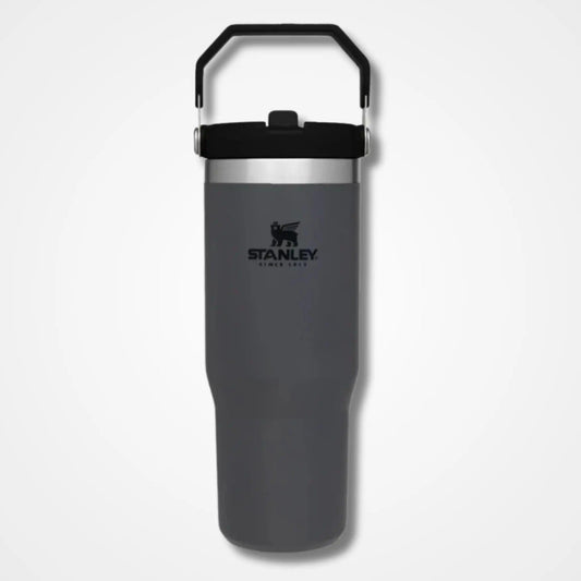 Stanley IceFlow Flip Straw