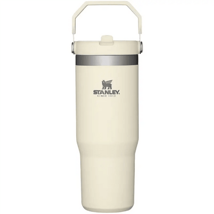 Stanley IceFlow Flip Straw