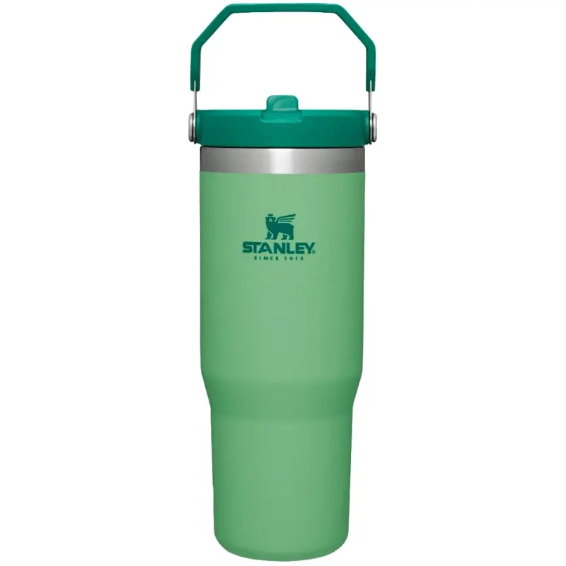 Stanley IceFlow Flip Straw