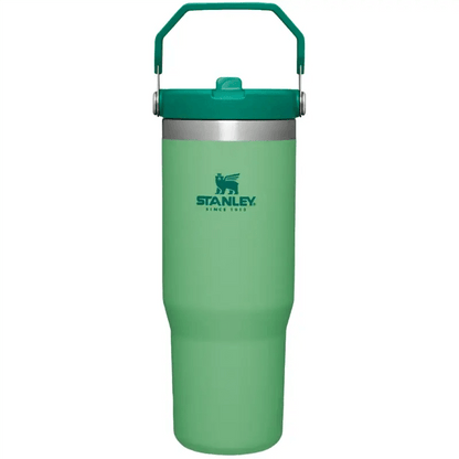 Stanley IceFlow Flip Straw