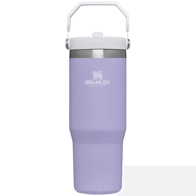 Stanley IceFlow Flip Straw