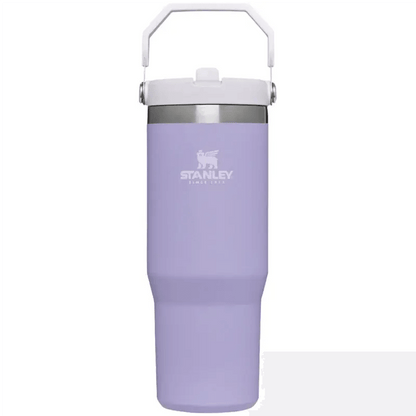 Stanley IceFlow Flip Straw