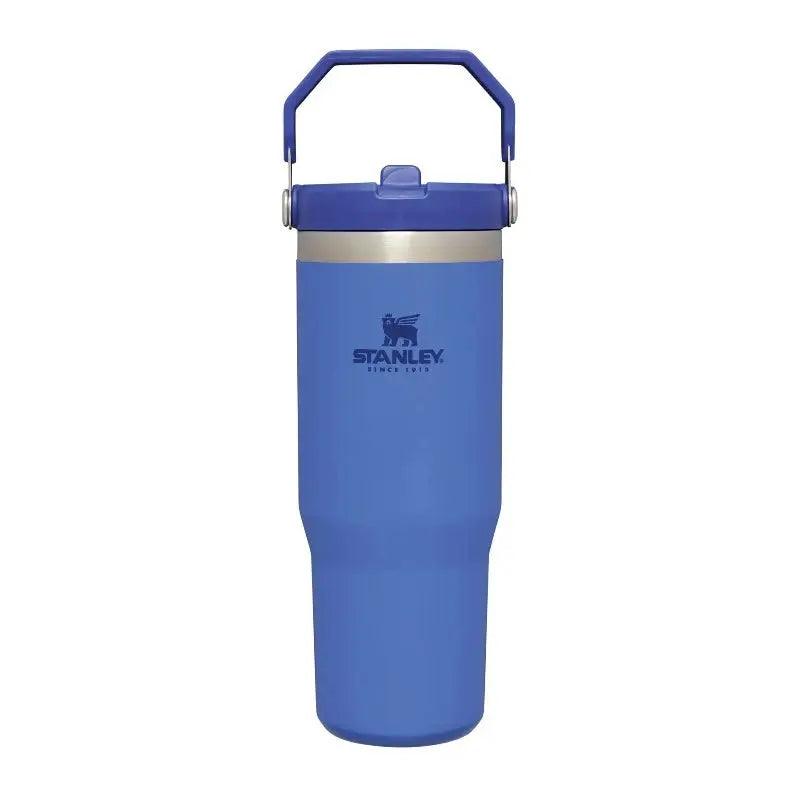 Stanley IceFlow Flip Straw