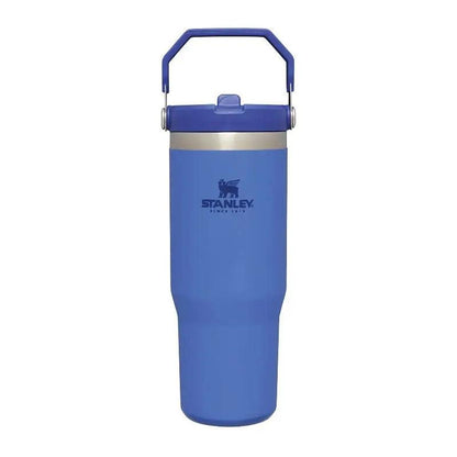 Stanley IceFlow Flip Straw