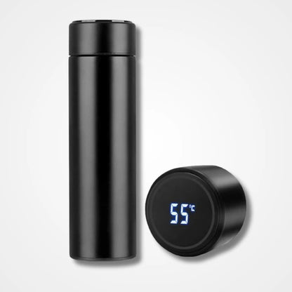 Temperature Bottle