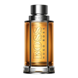 Hugo Boss The Scent Absolute Edp For Men 100Ml
