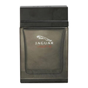 Jaguar Vision III For Men Edt 100ml Spray